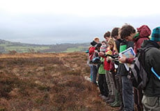 cobweb field work