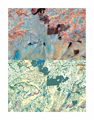 Phase 1 habitat map via remote sensing