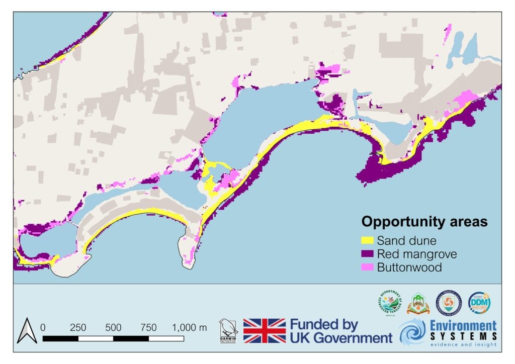 Map showing coastal opportunity areas in Anguilla for restoring sand dunes, red mangroves, and buttonwood habitats. The map supports climate resilience and biodiversity through nature-based solutions, using colour-coded zones to guide effective habitat restoration.