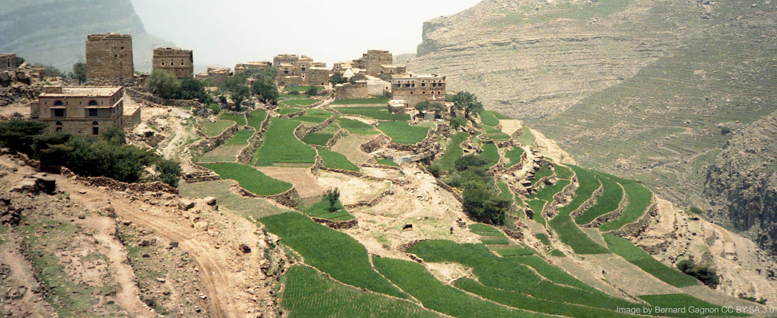 Lush green terraced fields surround a traditional stone village on a steep, rugged slope in Yemen's arid Haraz Mountains.